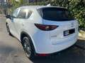 Mazda CX-5 2.2 Evolve 2wd 150cv auto Bianco - thumbnail 3
