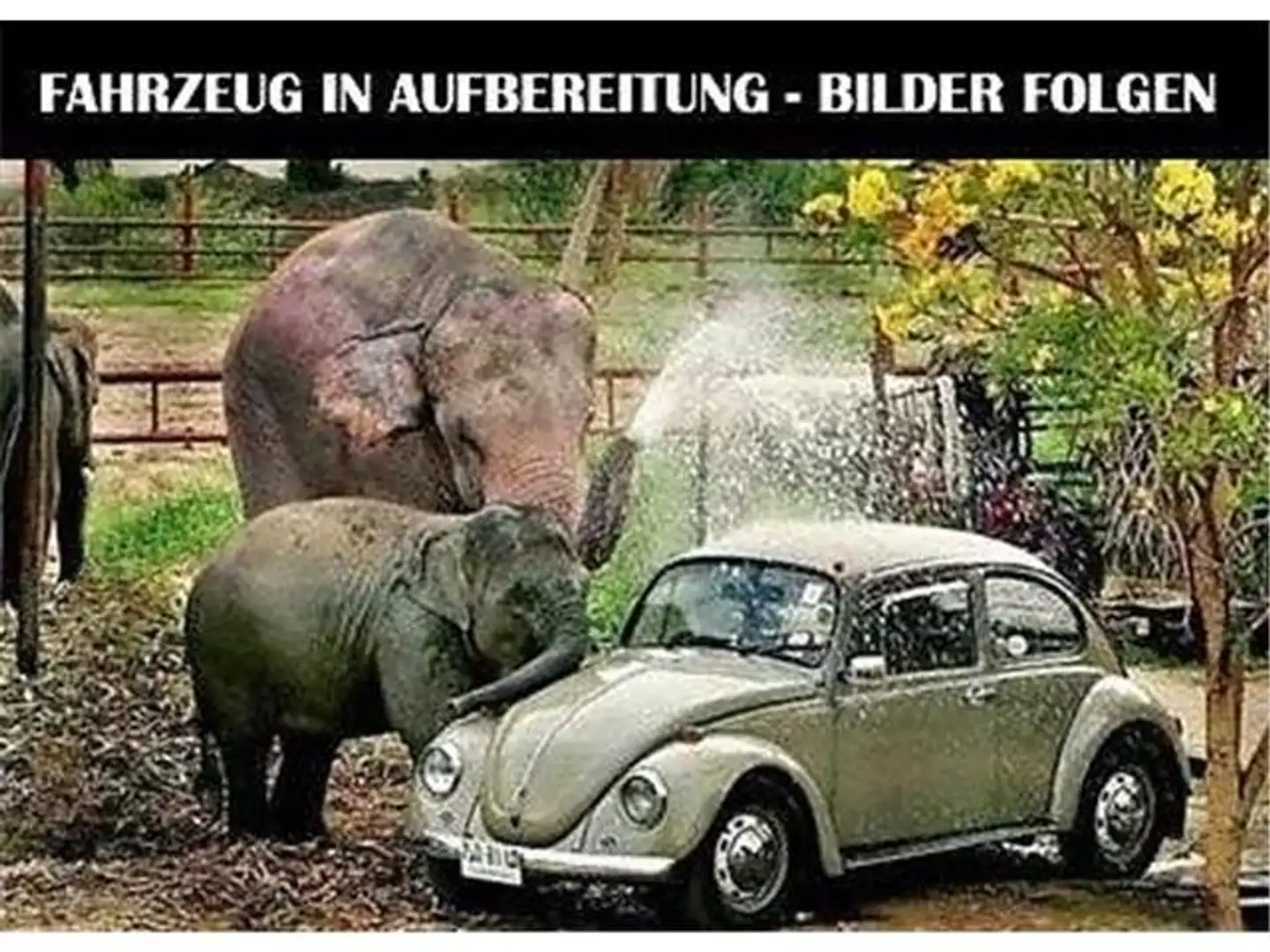 Ford Fiesta ST-Line-Klima-AF-WP-Motor 63.000km Blau - 1