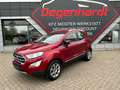 Ford EcoSport Titanium Nav Kamera Temp LED-Tag Rot - thumbnail 1