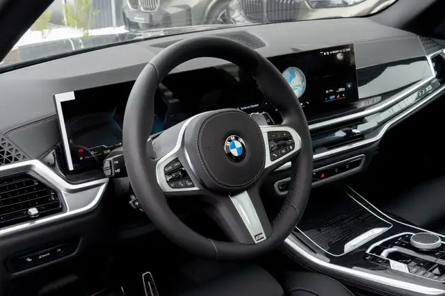 BMW X5 X5 view 12