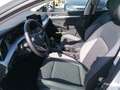 Volkswagen Golf VIII 1.5TSI Goal LED Wit - thumbnail 7