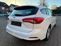 Ford Focus Turnier Cool & Connect /1.Hand/Navi/PDC Bianco - thumbnail 5