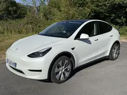 Tesla STANDARD RWD