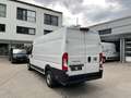Fiat Ducato Maxi 35 L4H2 RüKa CarPlay Allwetter Klima Wit - thumbnail 6