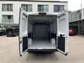 Fiat Ducato Maxi 35 L4H2 RüKa CarPlay Allwetter Klima Wit - thumbnail 13