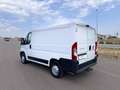 Fiat Ducato 2.0 Multijet 115cv L1 H1 PERFETTO STATO Bianco - thumbnail 4