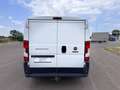Fiat Ducato 2.0 Multijet 115cv L1 H1 PERFETTO STATO Bianco - thumbnail 5