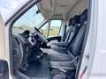 Fiat Ducato 2.0 Multijet 115cv L1 H1 PERFETTO STATO Bianco - thumbnail 13