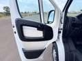 Fiat Ducato 2.0 Multijet 115cv L1 H1 PERFETTO STATO Blanc - thumbnail 16