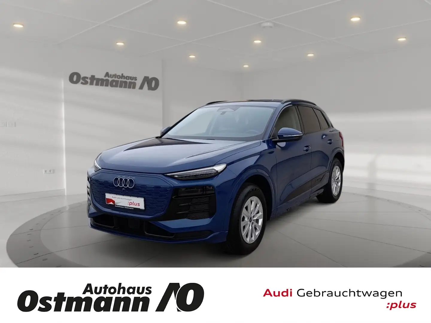 Audi Q6 e-tron e-tron Matrix Pano 19'' 360° 4xSHZ ACC Blau - 1