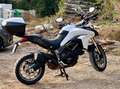 Ducati Multistrada 950 Bianco - thumbnail 2