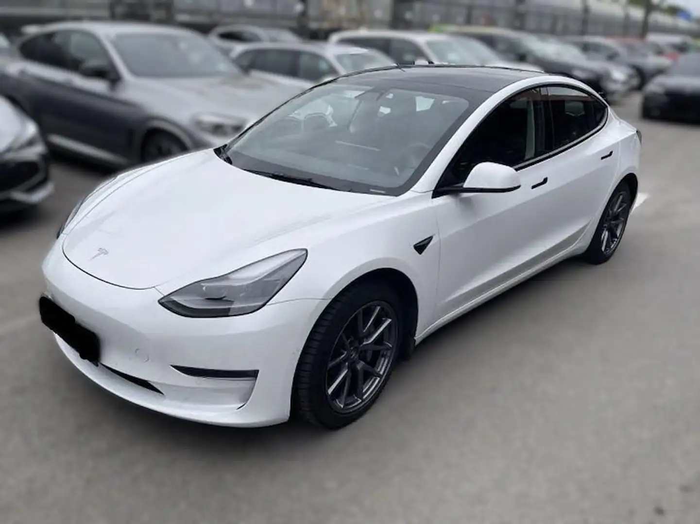 Tesla Model 3 Long Range Dual Wärmepumpe *ACC*KAM*LED* Weiß - 1