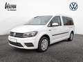 Volkswagen Caddy Maxi 2.0 TDI Rollstuhl Rampe Weiß - thumbnail 1