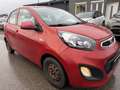 Kia Picanto Attract Rot - thumbnail 3