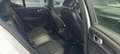 Volvo XC40 D3 BUSINESS plus AWD 150 CV AUTOCARRO 5 posti White - thumbnail 10