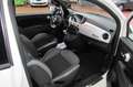 Fiat 500 500  hybrid Connect 70cv NAVIGATORE Blanc - thumbnail 16