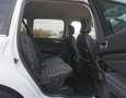 Ford Galaxy Galaxy 2,0 TDCi Titanium,AHK,Sitzklima,Stanheiz Weiß - thumbnail 5