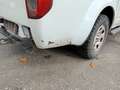 Nissan Navara KingCab Business 4X4 Weiß - thumbnail 5