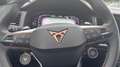 CUPRA Ateca VZ 2.0 TSI DSG 4Drive*Pano*5JGar*360°*19"* Grün - thumbnail 12