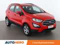 Ford EcoSport 1.5 EcoBlue TDCi Plus 100 CV Czerwony - thumbnail 8