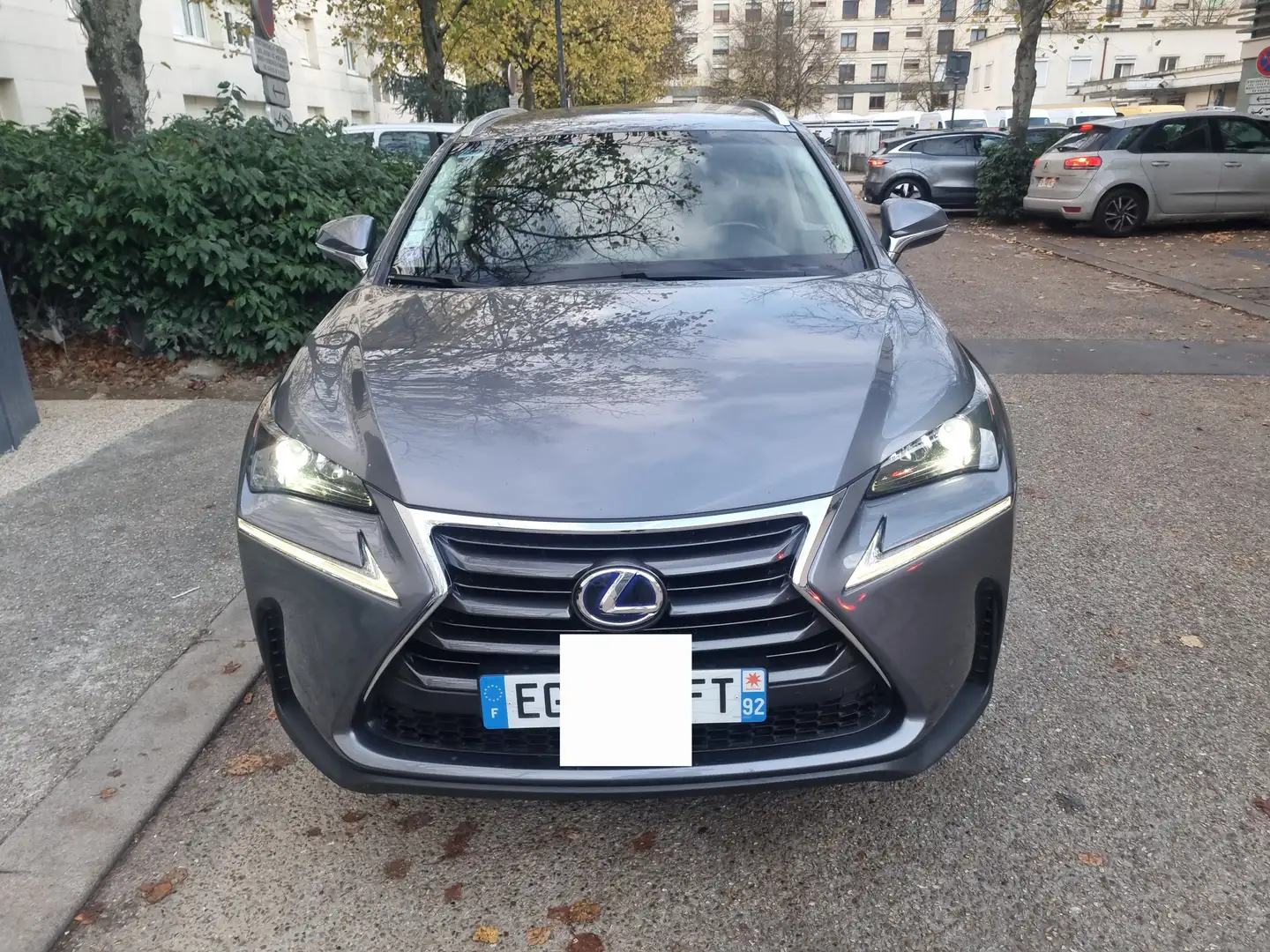 Lexus NX 300h NX 300h 4WD Luxe E-CVT Gris - 1