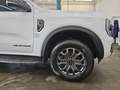 Ford Ranger Doppelkabine Wildtrak e-4WD 2,0 EcoBlue Aut Weiß - thumbnail 8