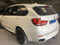 BMW X5 BMW X5 M50d - thumbnail 29