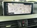 BMW X1 xdrive25e Business Advantage auto Grigio - thumbnail 10