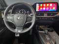 Lexus UX 300h UX 300h F Sport HUD Sofort Aktionsfahrzeug Albastru - thumbnail 11