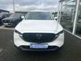 Mazda CX-5 2.0l SKYACTIV-G 165 PS Aut. FWD Sportsline Leder Weiß - thumbnail 8