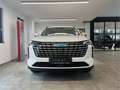 GWM HAVAL H6 1.5 Premium LED eHeckkl.ACC PDC 360°SHZ Weiß - thumbnail 5
