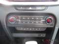 Kia Ceed / cee'd 1.5T 140 DCT7 SPI TEC LED Navi Klimaautom SHZ Temp Vert - thumbnail 14