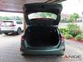 Kia Ceed / cee'd 1.5T 140 DCT7 SPI TEC LED Navi Klimaautom SHZ Temp Vert - thumbnail 5