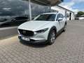 Mazda CX-30 Exclusive-Line Grau - thumbnail 1