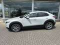 Mazda CX-30 Exclusive-Line Grau - thumbnail 2
