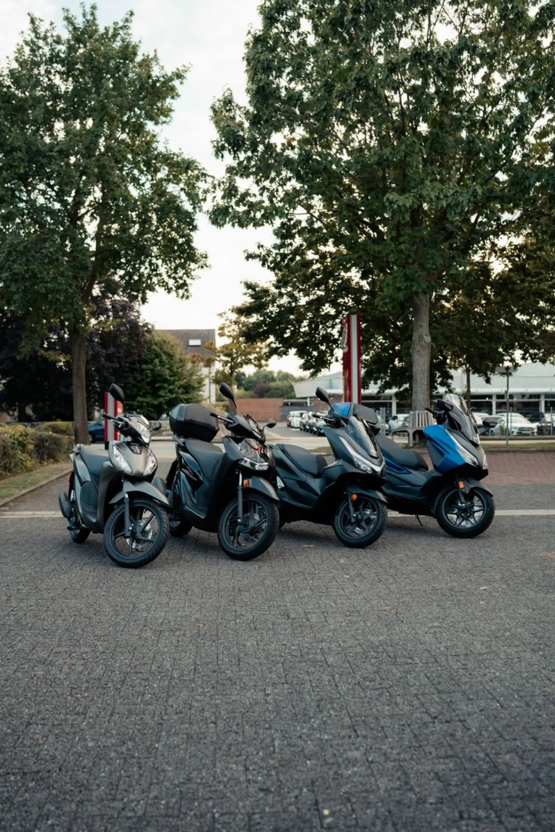 Honda Forza 125 — photo 8