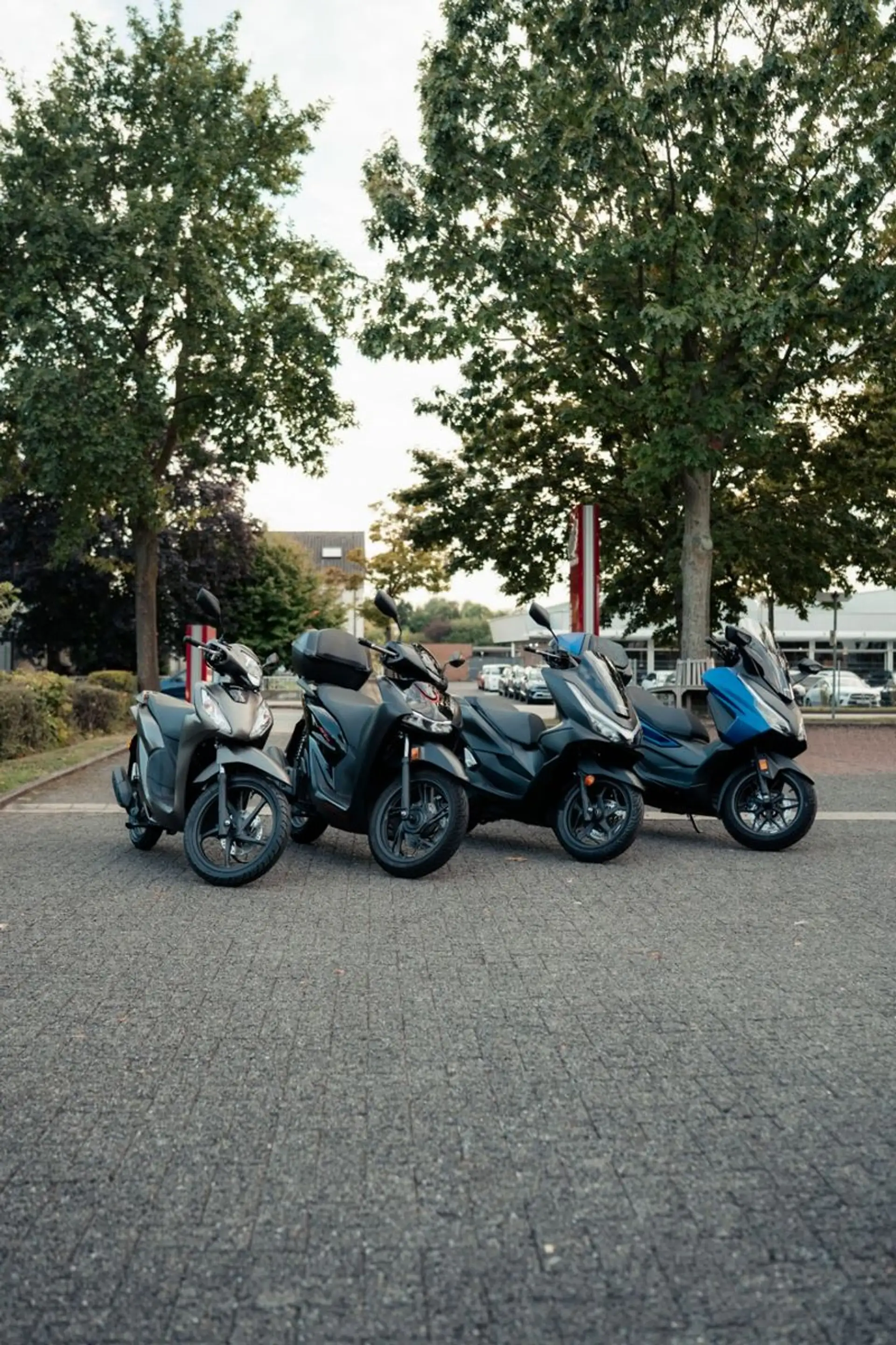 Honda Forza 125 — photo 9