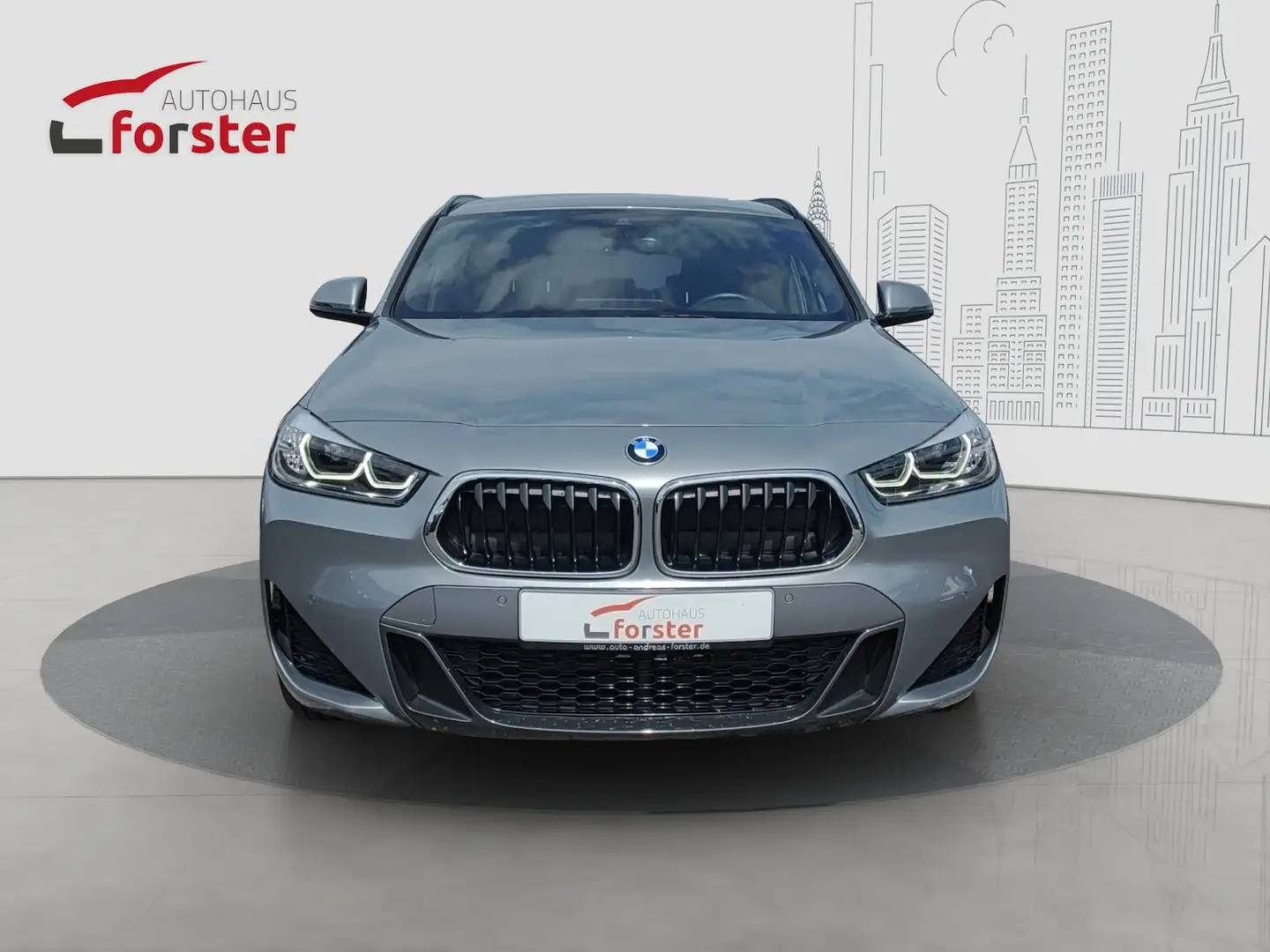 BMW X2 xDrive 20 d M Sport AHK HUD HIFI Grau - 2