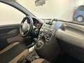 Fiat Panda Panda 1.2 natural power Climbing NEOPATENTATI Bruin - thumbnail 18