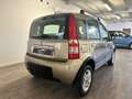 Fiat Panda Panda 1.2 natural power Climbing NEOPATENTATI Bruin - thumbnail 5