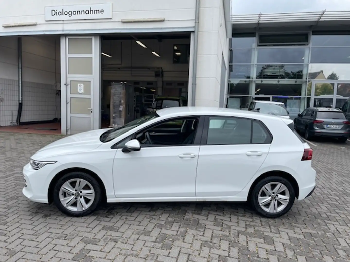 Volkswagen Golf VIII 1.5TSi Life R-Kamera ACC AppConnect Sitzhe... Weiß - 2