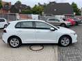 Volkswagen Golf VIII 1.5TSi Life R-Kamera ACC AppConnect Sitzhe... Weiß - thumbnail 3