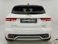 Jaguar E-Pace 2.0D 150 CV AWD aut. R-Dynamic S Bianco - thumbnail 14