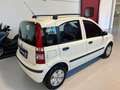 Fiat Panda 1.2 Dynamic GPL Bianco - thumbnail 11