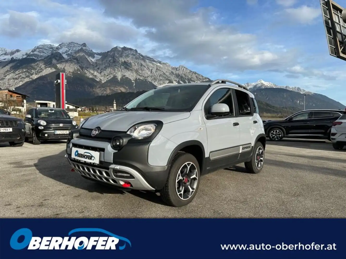 Fiat Panda 4X4 Cross Grau - 1