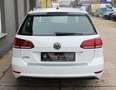 Volkswagen Golf Variant Golf VII Variant GTD PANO+AHK+ACC+KAMERA+STANDHZ Blanc - thumbnail 7