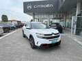 Citroen C5 Aircross 1.2 Benzina 130cv EAT8 C-SERIES Usato Garantito Weiß - thumbnail 1