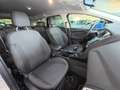Ford Focus Focus IV 2015 SW SW 1.6 Titanium Gpl 120cv my17 Zilver - thumbnail 18