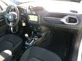 Jeep Renegade 1.0 t3 Longitude 2wd Bianco - thumbnail 14