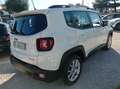 Jeep Renegade 1.0 t3 Longitude 2wd Bianco - thumbnail 5